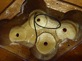 cavity-wood-harley-benton